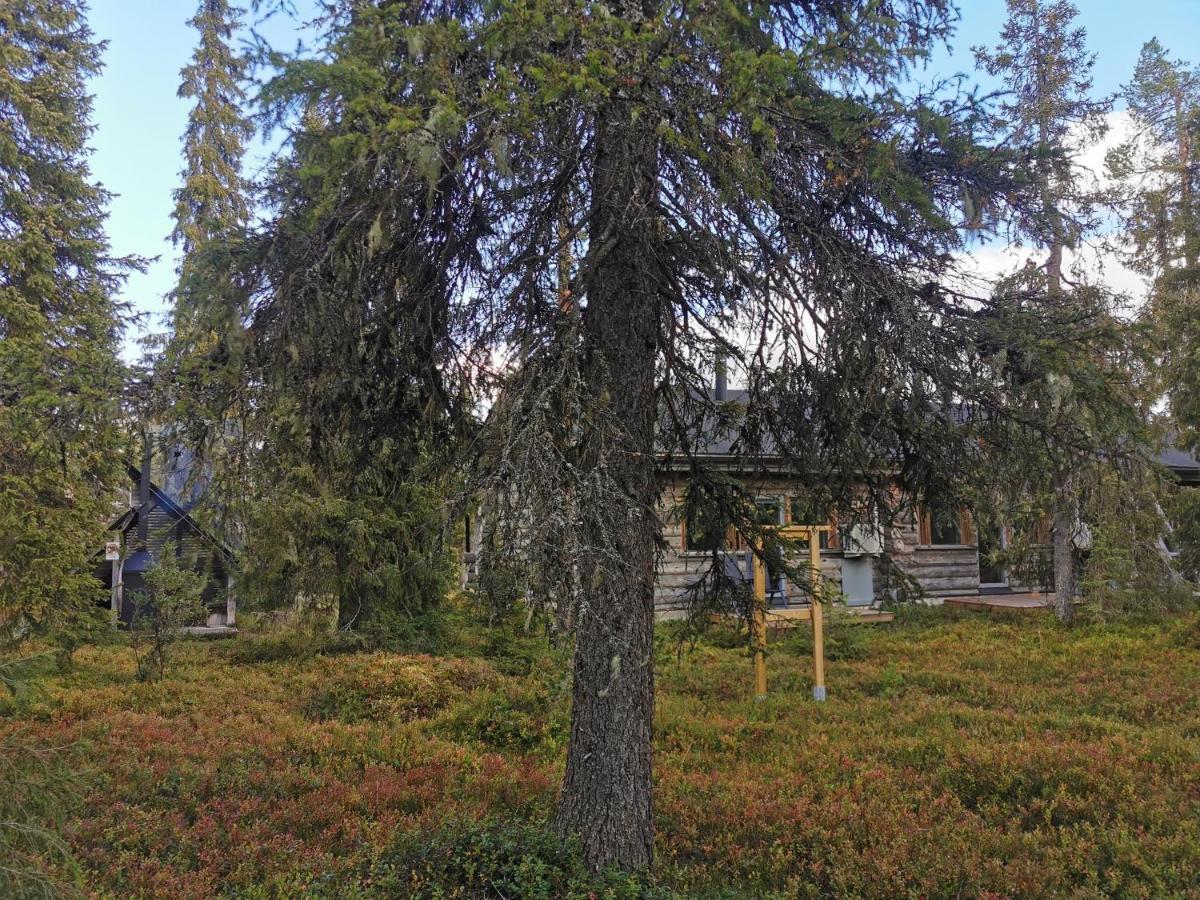Ruka Inn 외부 사진